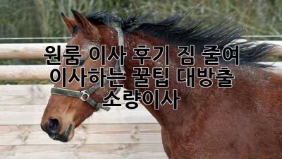 원룸 이사 후기🏠 짐 줄여 이사하는 꿀팁 대방출! #소량이사